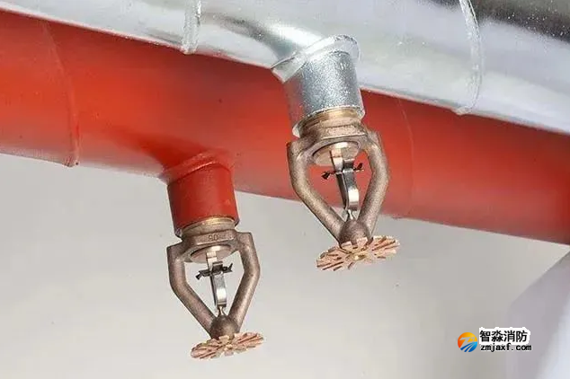 1667614535196074.png image.png