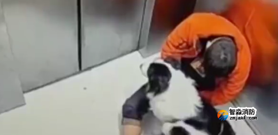 1668996400209300.png image.png