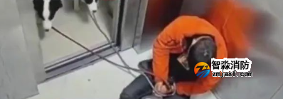 1668996414116907.png image.png