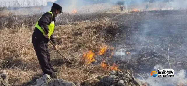 1674875657115128.png image.png